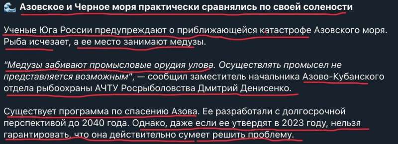 Залишаться тільки медузи. Росіяни поставили під загрозу існування майже всієї флори і фауни Азовського моря